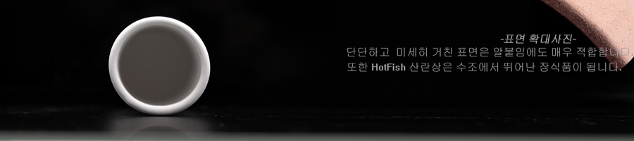 HotFish 백자토 원형 산란상 4,000원 - 피알피쉬 펫샵, 관상어용품, 장식품, 산란상/은신처 바보사랑 HotFish 백자토 원형 산란상 4,000원 - 피알피쉬 펫샵, 관상어용품, 장식품, 산란상/은신처 바보사랑